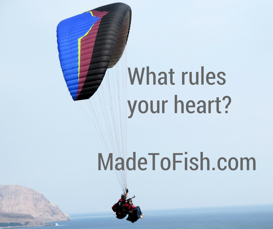 What sign rules the heart?